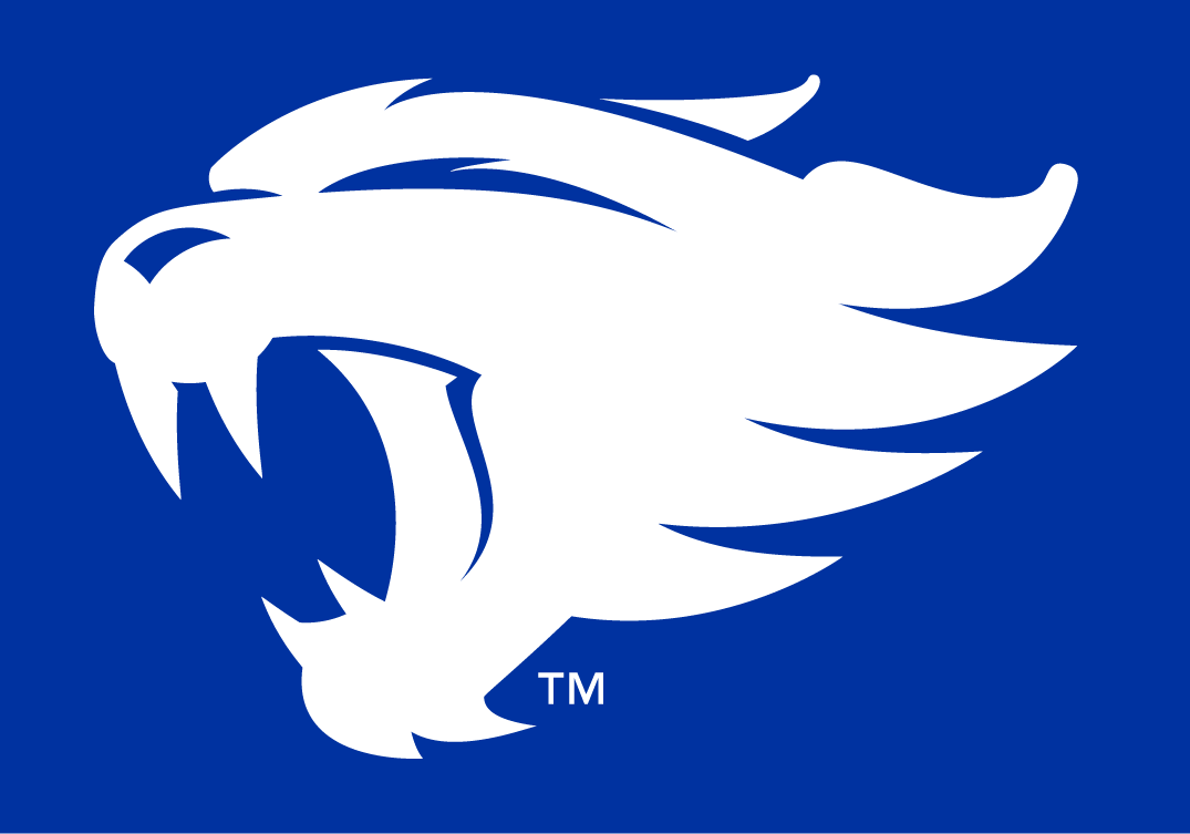 Kentucky Wildcats 2016-Pres Alternate Logo iron on heat transfers 2